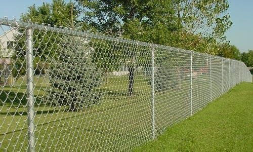 Green vinyl-coated chain link fence