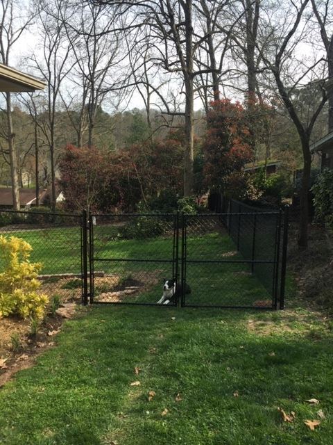 Cedar privacy fence installation
