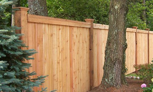 Stained wood privacy fence